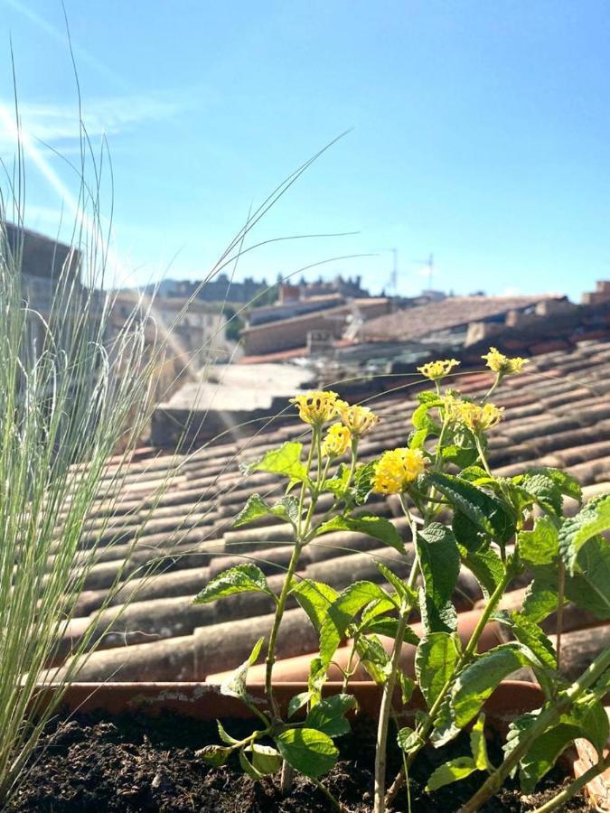 Rooftop Face A La Cite 'Rfc' Carcassonne Zewnętrze zdjęcie